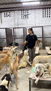 1K reactions · 44 shares | Pura din in bacho ke saath kse nikal jata hai pata hi nhi lg tha 凉 | Jagriti709 | Facebook