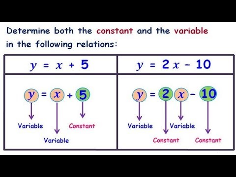 Difference between constant and variable | constant & variable #maths #Tips #tricks #and #solution