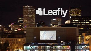 Wrapped up the Colorado leg of the Absinthe Film Tour with the kind of film screening at the MetLo RoofTop, that could only go down in Colorado (and maybe Amsterdam) for now. Look forward to making this an annual tradition and it will be interesting to see what states will be next to follow. Leafly incredibles Chocolate and Infused products Evolab CO2 | Absinthe Films