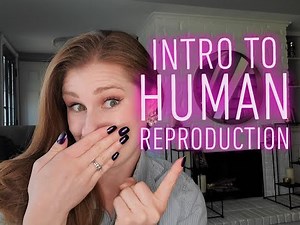 Intro to Human Reproduction