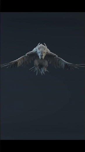 Beginner vs. Pro — 14 Years of Animation Growth #animation