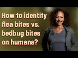 How to identify flea bites vs. bedbug bites on humans?
