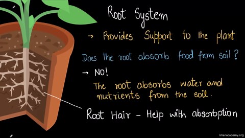 Dot product of vectors in 3D