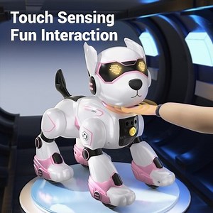 Remote Control Robot Dog Toys, Programmable Smart Interactive Pet Puppy wit | eBay