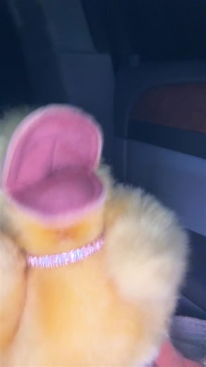 Lila duckling on TikTok