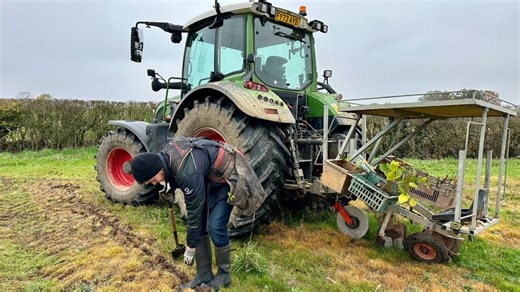 Large-scale tree planting schemes key to cutting emissions