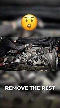 N63 Cat Removal Secret: The Twist That Saves You!