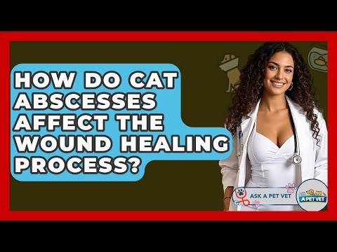 How Do Cat Abscesses Affect The Wound Healing Process? - Ask A Pet Vet