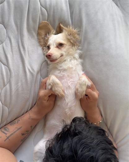 Azusa on Instagram: "最近の写真🤳🌸🍵 よく体脂肪率の質問されるので 久しぶりに測ったら22%あったよ😆 身長160cm 体重58kg 体脂肪率22%です🫶🏼 1.2枚目の写真が1番最近のなので参考までに🤍 ⁡ ⁡ #workout#fitness#fitnessbikini#bikinifitness#fitnessmotivation#personaltrainer#fitgirl#筋トレ女子#パーソナルトレーナー#ボディメイク女子#ボディメイク"