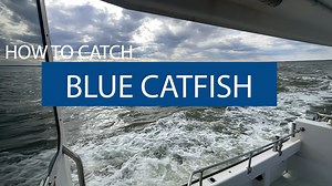 126K views · 790 reactions | It's National Invasive Species Awareness...