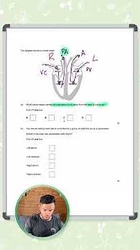 GCSE Biology: Exam Question | Heart Diagram