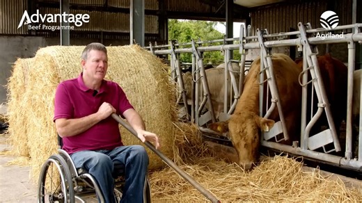 12K views · 208 reactions | Beef Focus revisited: 34 years farming from a wheelchair in Sligo Based near Tubbercurry, Co. Sligo, is Pat Carthy, a suckler-beef farmer calving 30 cows in a split spring/autumn calving system. Pat has been farming from a wheelchair for 34 years. | Agriland.ie | Facebook