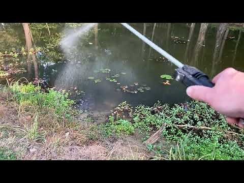 Easy Way To Kill Cattails, Water Primrose, & Duckweed