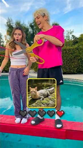 Guess The Impossible Animal 🦄