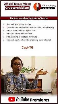 Overview: The Missing Testis: Understanding Cryptorchidism