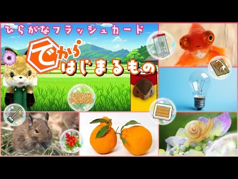 【フラッシュカード】☆ひらがなのお稽古＆語彙力のアップに☆「でから はじまるもの」