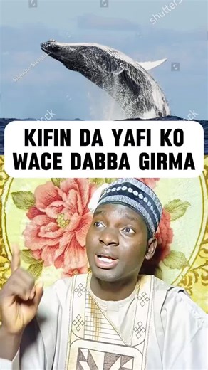 Exploring Blue Whales: The Largest Animals on Earth