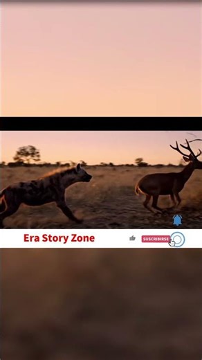 Deer vs Hyena Heart Stopping Savanna Chase #WildlifeChase #SavannaLife #DeerVsHyena #PredatorAndPrey
