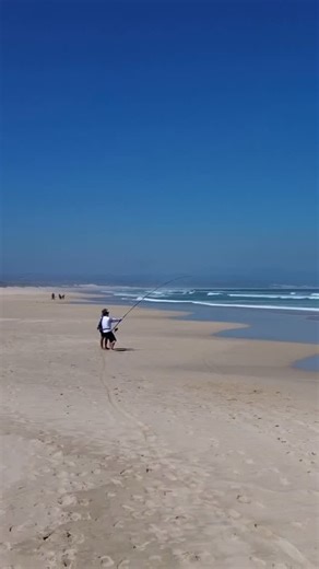 Duvan Fishing Charters (Duvan van breda)🎣 on Instagram: "Big shark from the beach 😍🤩 South Africa 🇿🇦 . . . . @simoneksteen @lukepretorius02 #fishing #fishingsouthafrica #oceanlife #fishingholiday #fishingsafris"
