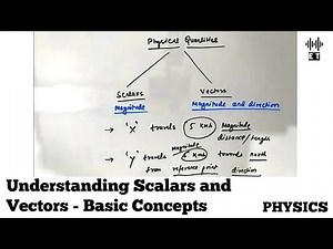 Understanding Scalars and Vectors | A Basic Introduction | Basic Physics