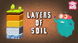 8.5K views · 132 reactions | You know that SOIL has different layers to it, right? Yes! The soil has a lot more going on inside than what you just see on the top! Join Dr. Binocs as he takes you through all the layers of the SOIL. | Peekaboo | Facebook