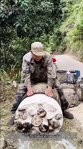 Mastering Latex Dewatering: A Craftsman's Precision Technique for Liquid Rubber Processing
