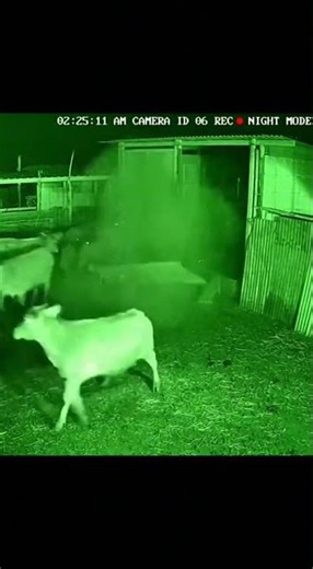 Scary CCTV Footage No One Can Explain 😨