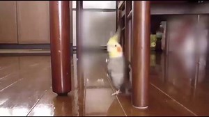 3.3K views · 16 reactions | Matrix 2.0 | Make A GIF | Facebook