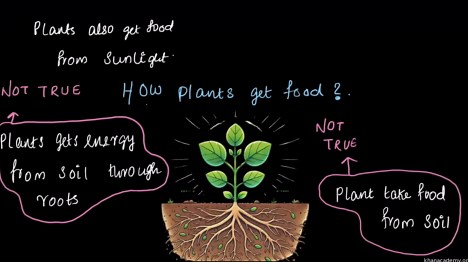 Polynomial addition by column method