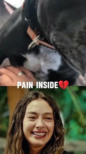 (pain inside) DOG SAD MOMENT.