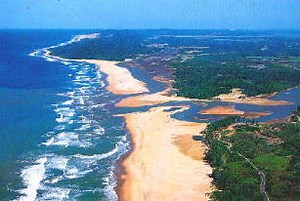 Importance of Ocean and Marine Ecosystems