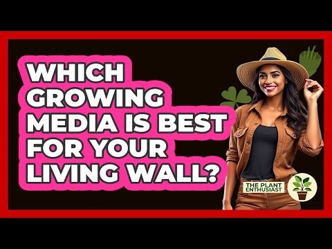 Which Growing Media Is Best For Your Living Wall? - The Plant Enthusiast