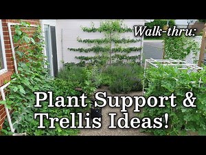 Trellis Plant Support Ideas + Vertical Urban Garden, Edible Landscape -Albopepper Walk thru