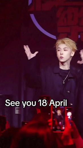 Yolo Festival Pattaya: Experience the Excitement