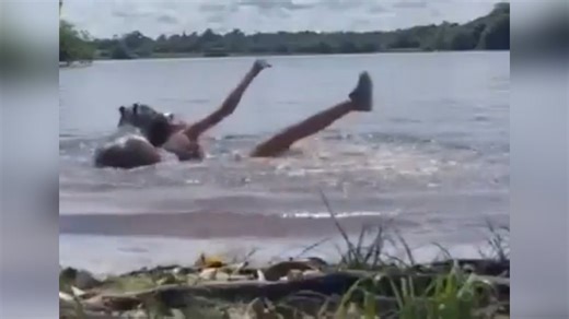 Capybara attacks girl in lake