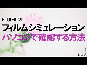 フィルムシミュレーションをパソコンで確認する3つの方法｜FUJIFILM
