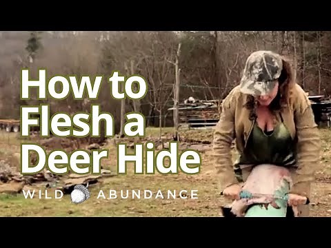 How to Flesh a Deer Hide with Wild Abundance