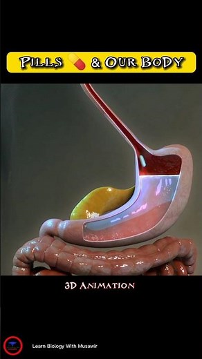 Pills 💊 And Our Body ! Animated #shorts #video |