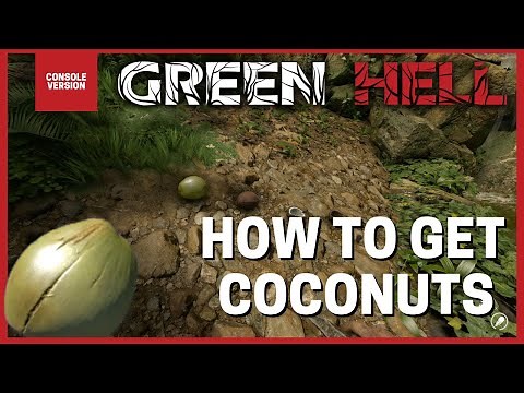 Green Hell - How to get Coconuts - Console Version