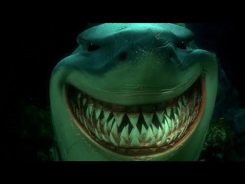Finding Nemo, But it's only Bruce