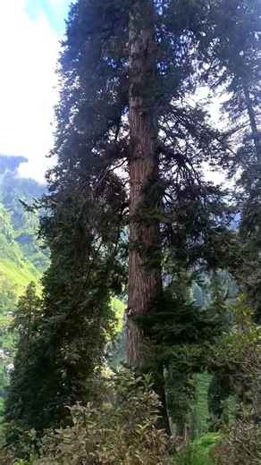 25K views · 2.5K reactions | Beautiful scenery view  | Mountain Explore | Facebook