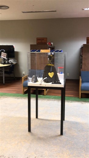 Want to try your hand at 3D printing? Visit MCCS Libraries island wide for a 3D Printing Orientation Class, where library staff will guide you through the entire process. After completing the class, you will take a quiz and those who pass will gain independent access to the Innovation Lab 3D printer for personal projects. To learn more about upcoming 3D Printing Orientation and other library events, visit https://www.okinawa.usmc-mccs.org/marine-family-support/libraries/adult-programs/. | MCCS O