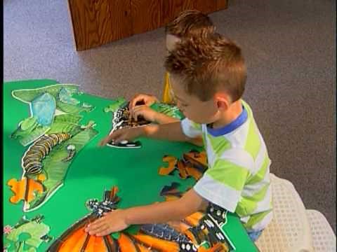 Early Learning Brain Development and Lifelong Outcomes