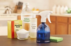 DIY All-Purpose Cleaners: Natural Solutions for a Germ-Free Home | LoveToKnow