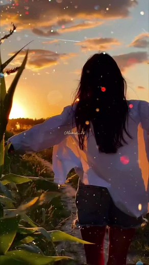 Voy a Ponerme Bonita: Letra y Más