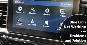 Blue Link Not Working (4 Problems   Solution)