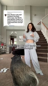 8.5K views · 1.6K reactions | Changed some of the set-up so Merlin didn’t associate a specific place with the number. I think it’s time to learn 1-10! What do you think?  | Merlin The Pig | Facebook