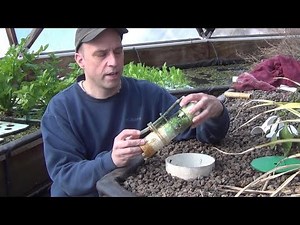 The Bell Siphon - REVISITED