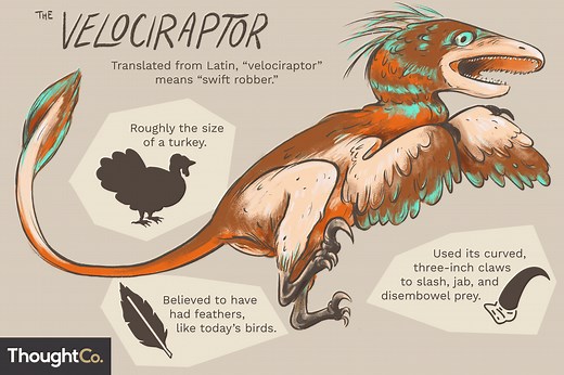 10 Facts About the Velociraptor, a World-Famous Dinosaur