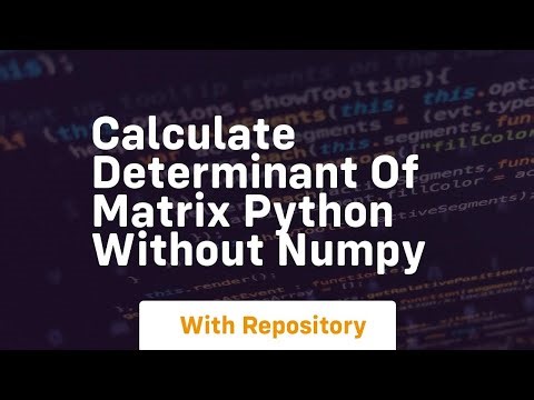 calculate determinant of matrix python without numpy